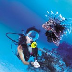 Scuba diving Bora Bora