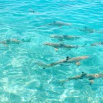 Rangiroa