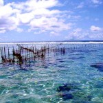 Fish trap - Taha'a