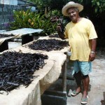 vanilla drying - Taha'a