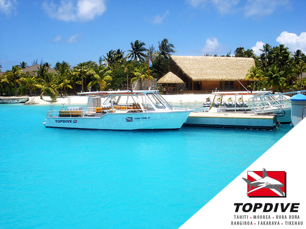Topdive Bora Bora Topdive Bora Bora