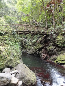 Le pont de la Fautaua