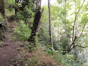 En flanc de montagne