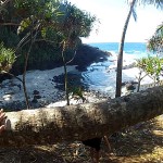 Plage - Randonnée Te Pari