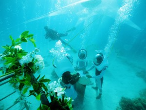 Bora Bora Underwater Wedding © G.LeBacon