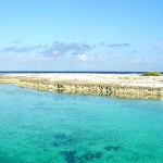 Reef - Bora Bora