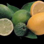 Citrons