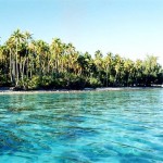 Motu - Moorea