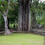 Nuku Hiva - Site de Koueva